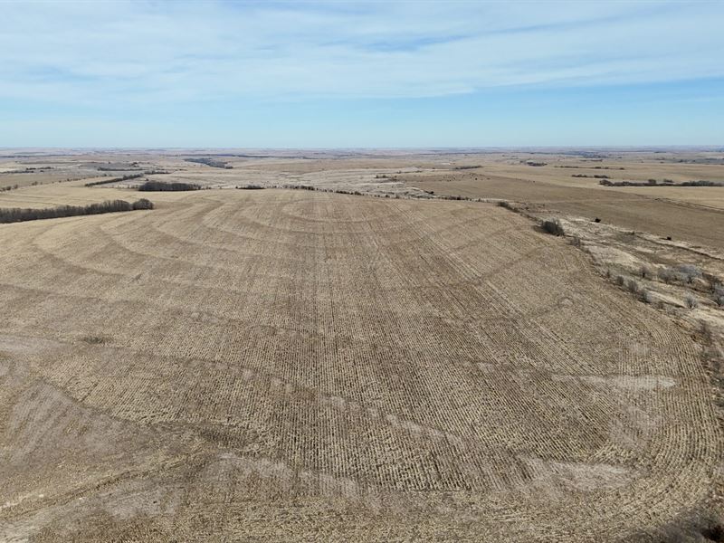 Brehmer Farms Half : Almena : Norton County : Kansas