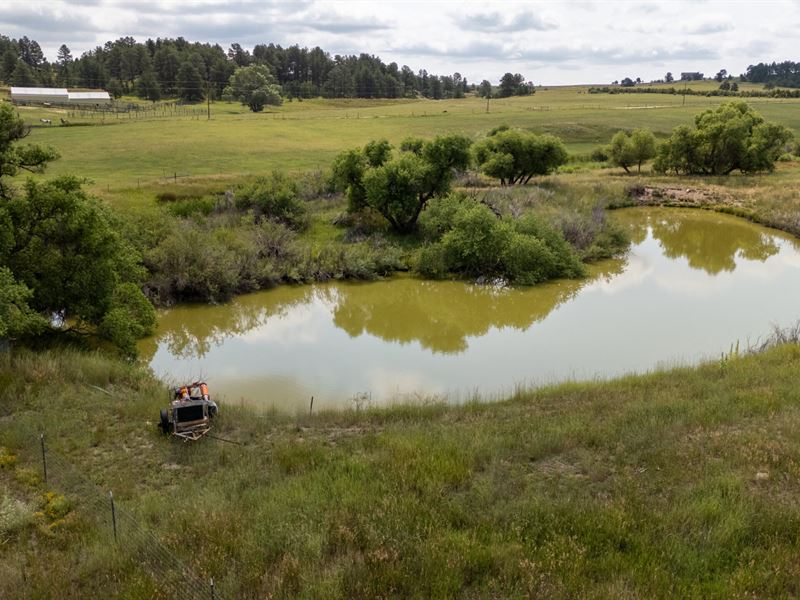 A Bar Ranch Option 2 : Elbert : Douglas County : Colorado