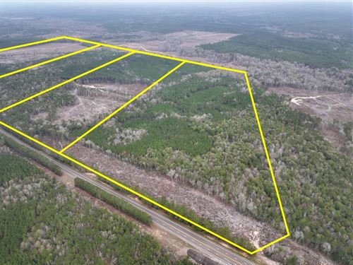 317 Acres, T-6, Highway 190, 012 : Newton : Texas