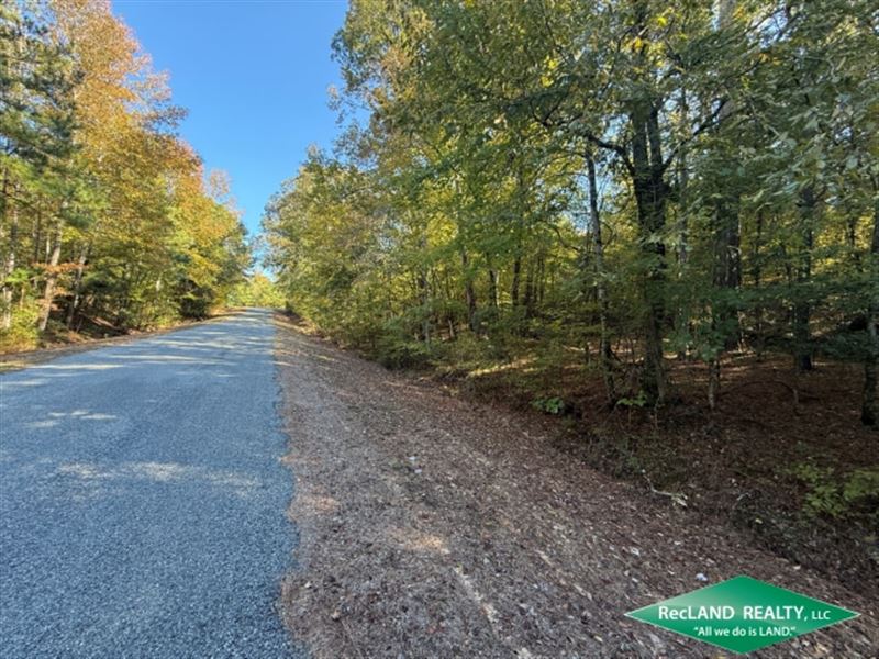 17 ac, Timberland for Home Site : Dubach : Lincoln Parish : Louisiana