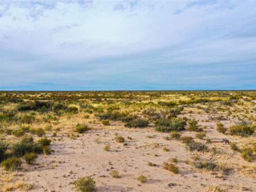 This is My Own Private Desert : Sierra Blanca : Hudspeth County : Texas