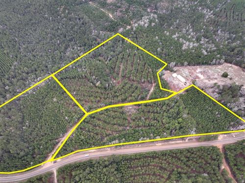 32 Acres, T-4, County Road 1019 : Newton : Texas