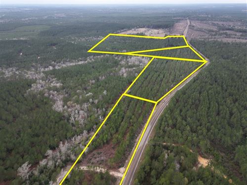 16 Acres, T-2, FM 1012, 02450 : Newton : Texas