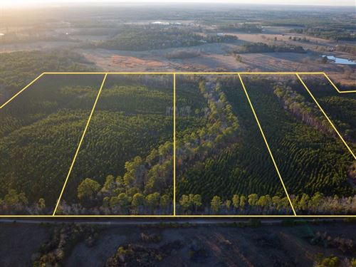 23 Acres, T-4, County Road 4415 : Annona : Red River County : Texas
