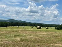 Ranch, Live Water, Cave & Pasture : Vanzant : Douglas County : Missouri