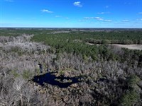 Large Farm and Timber Tract : Fairmont : Robeson County : North Carolina