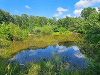 Land for Sale in Ozark County MO : Brixey : Ozark County : Missouri