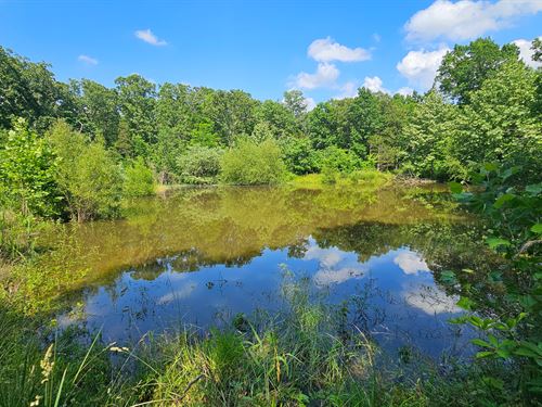 Land for Sale in Ozark County MO : Brixey : Ozark County : Missouri