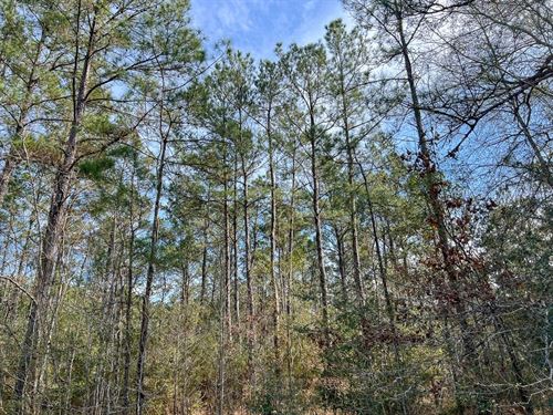 45 Acres, T-3, Zavalla Road, 047 : Mauriceville : Orange County : Texas