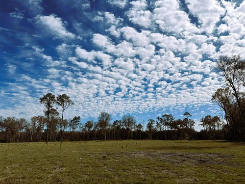 Dungarven Ridge Lot 3 : McIntosh : Marion County : Florida