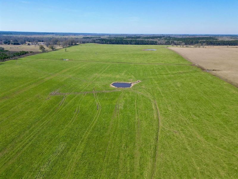 Cattle Farm for Sale in South Missi : Poplarville : Pearl River County : Mississippi