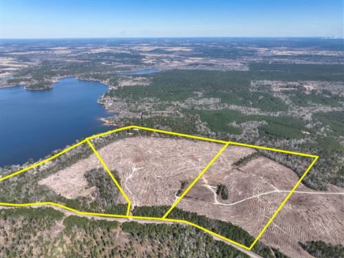 54 Acres, T-2, County Road 2140 : Crockett : Houston County : Texas