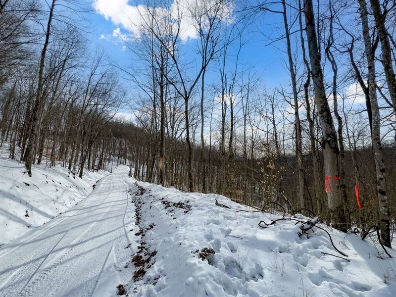Wolfpen Run Rd, 41 Acres : Coxs Mills : Gilmer County : West Virginia