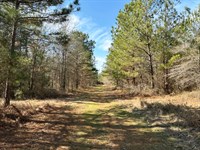 Reduced 139 Acres Wooded : Keysville : Burke County : Georgia