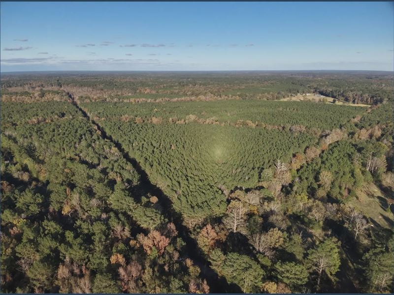 38 Acres Lot 1 in Madison County : Canton : Madison County : Mississippi