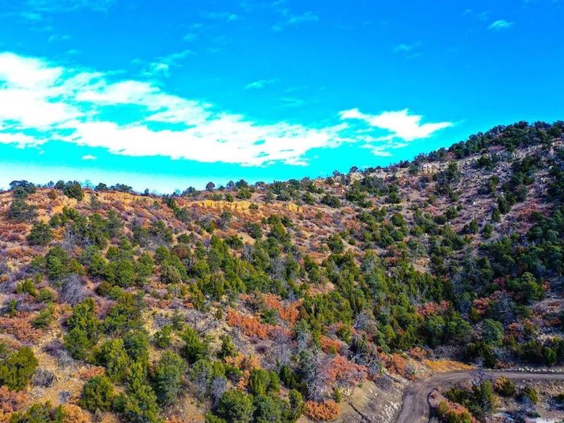 120 Acres, Weston, CO 81091 : Weston : Las Animas County : Colorado