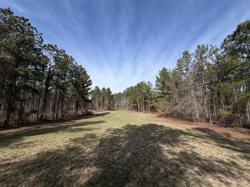 Max Pines Farms : Milledgeville : Baldwin County : Georgia