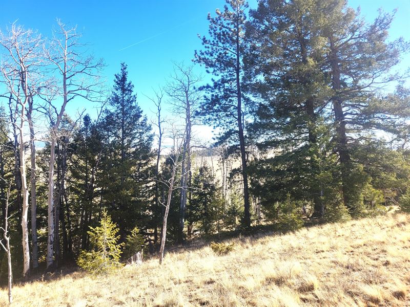 8802 Ranch Road : Hartsel : Park County : Colorado