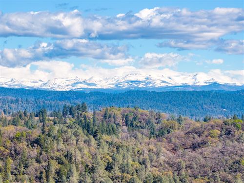 Lazy Buck-125 : Placerville : El Dorado County : California