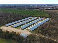 New Price, Nichols Broiler Farm : Saluda : South Carolina