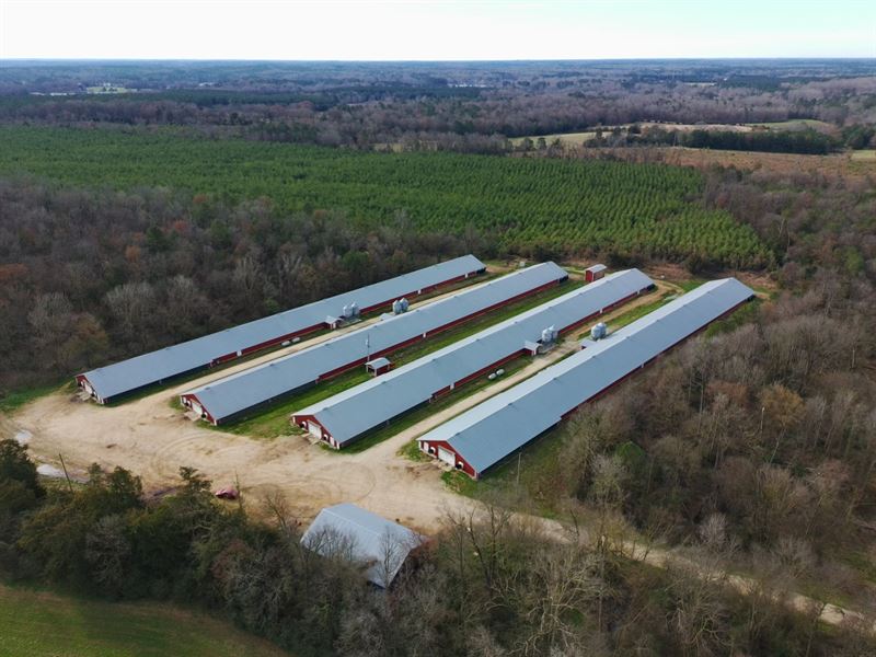 New Price, Nichols Broiler Farm : Saluda : Saluda County : South Carolina