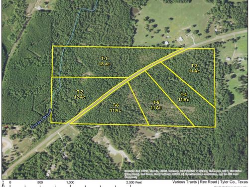 22 Acres, Rec Road 255, T-3 & T-4 : Colmesneil : Tyler County : Texas