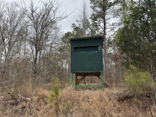 Sportsmans Dream Property : Lexington : Holmes County : Mississippi