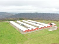 Rung Breeder Farm : Albertville : Marshall County : Alabama