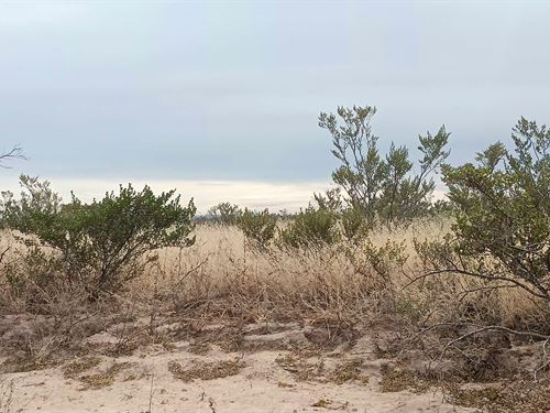 No Zoning in Texas, 11.4 Ac Ranch : Salt Flat : Culberson County : Texas