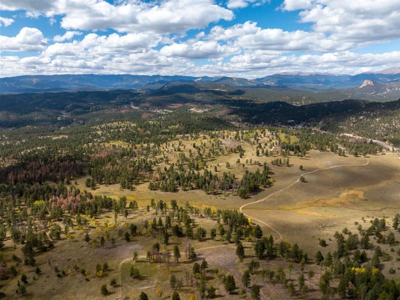 Clifton Meadows : Conifer : Jefferson County : Colorado