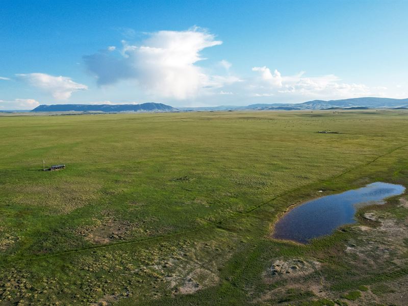 Rogers Irrigated Pasture : Laramie : Albany County : Wyoming