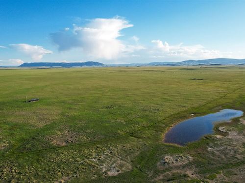 Rogers Irrigated Pasture : Laramie : Albany County : Wyoming