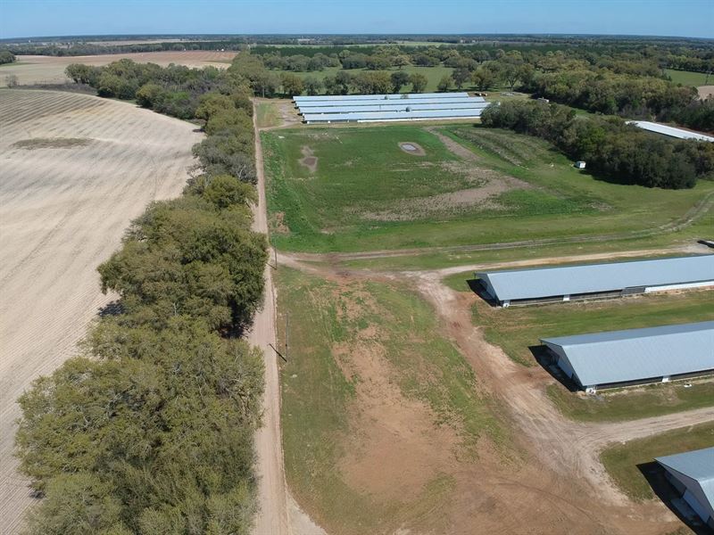 Hopeful Broiler Farm : Camilla : Mitchell County : Georgia