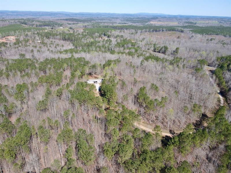 41 Acre Homestead Clay Co : Cragford : Clay County : Alabama