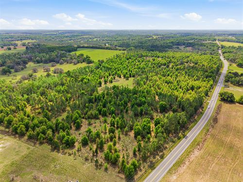 Spring Lake Reserve Ranch : Brooksville : Hernando County : Florida