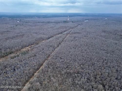 431 Acres With Calcasieu River Fro : Lake Charles : Calcasieu Parish : Louisiana