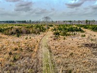 City Farm 60 : Denmark : Bamberg County : South Carolina
