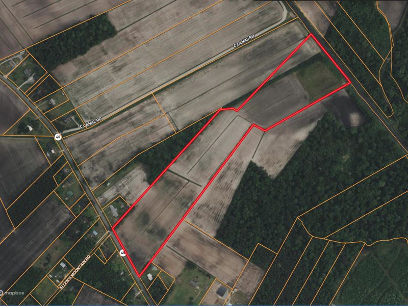 Hunting/Farmland Near Pungo Refuge : Pantego : Beaufort County : North Carolina