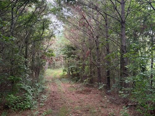 208 Acres in Union County, MS : Blue Springs : Union County : Mississippi