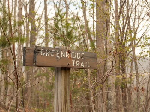 615 Acres in Morgan County, TN : Oakdale : Morgan County : Tennessee