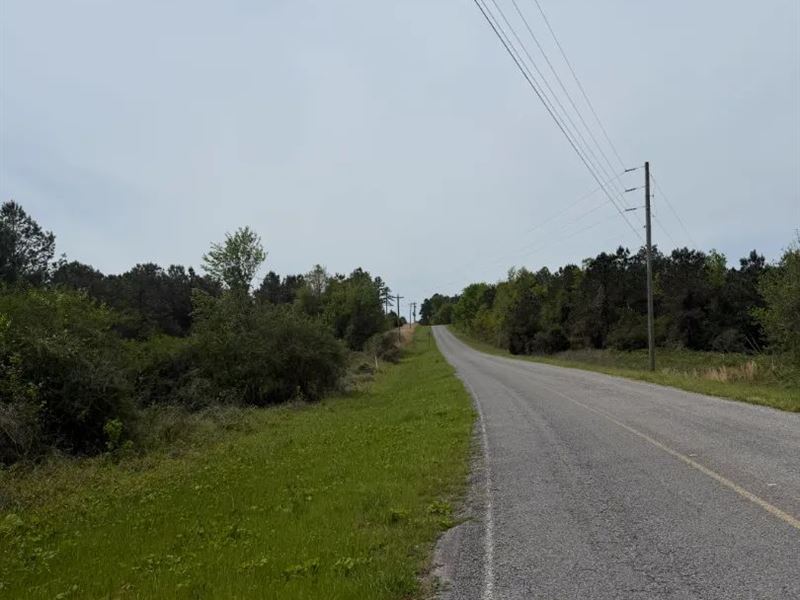 29 Acres in Kemper County, MS : De Kalb : Kemper County : Mississippi