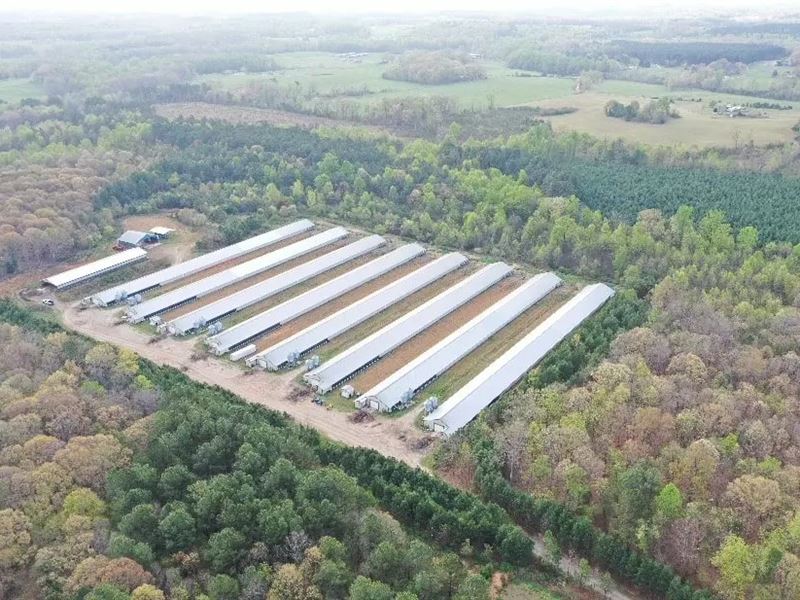 New Price, Arey Broiler Farm : Lawndale : Cleveland County : North Carolina