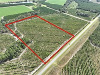14 Acres Tract 4 Jamestown Rd : Waycross : Ware County : Georgia