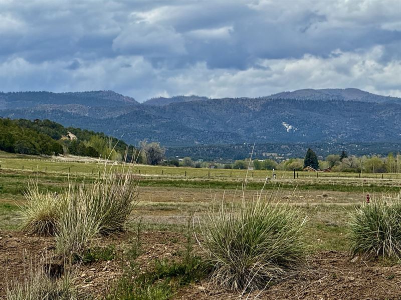 River Valley Reserve Phase II : Durango : La Plata County : Colorado