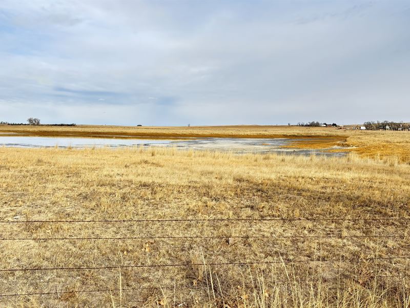 Premier Pivot & Grass Pasture : Huntley : Goshen County : Wyoming