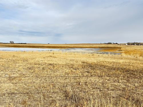 Premier Pivot & Grass Pasture : Huntley : Goshen County : Wyoming