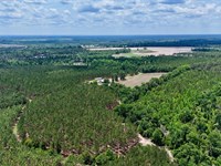 Turnpike Creek Preserve : McRae : Telfair County : Georgia
