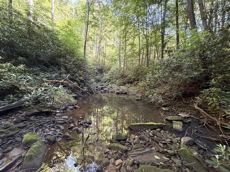 49 Acres in Wise County VA : Pound : Wise County : Virginia
