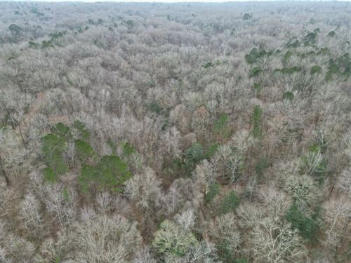20 Acres in Adams County, MS : Natchez : Adams County : Mississippi