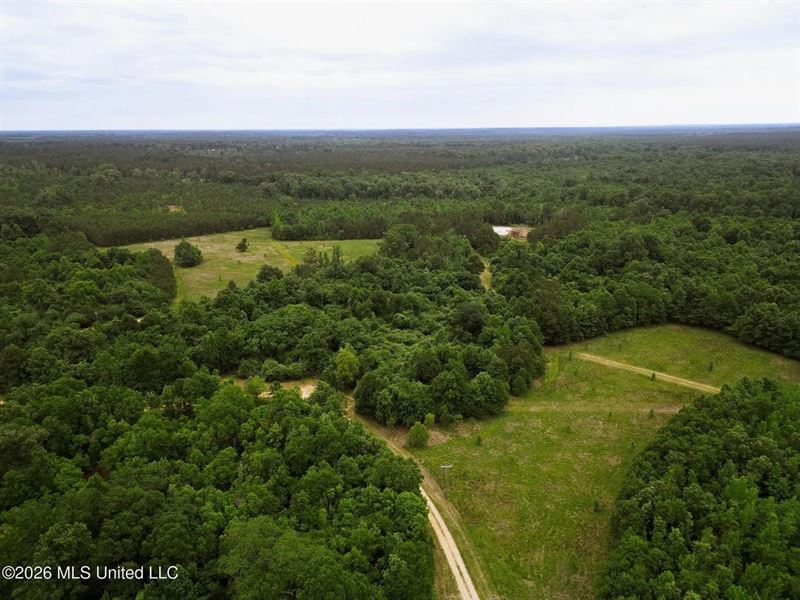 Land for Sale in Amite County, MS : Gloster : Amite County : Mississippi